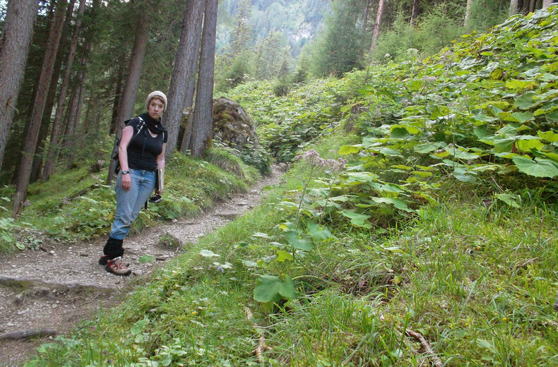 Susanne Neumann - Wald