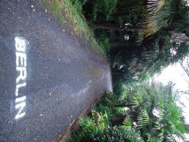 Susanne Neumann - Installation Luino 1379