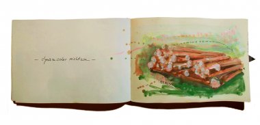 Susanne Neumann Skizzenbuch