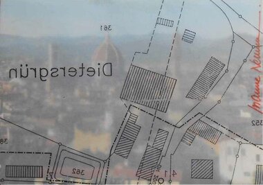 Susanne Neumann Palli Vitamine