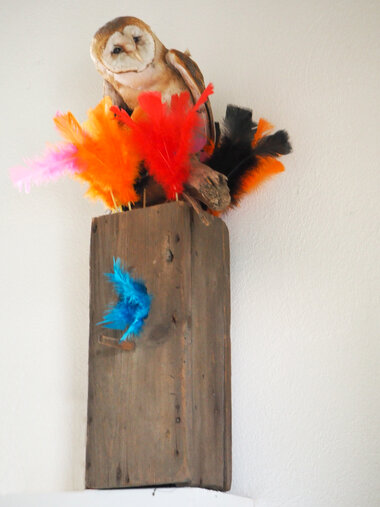 Susanne Neumann Erbarmium