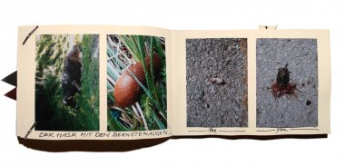 Susanne Neumann Skizzenbuch