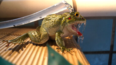 Fake Brunnen Badehaus Susanne Neumann