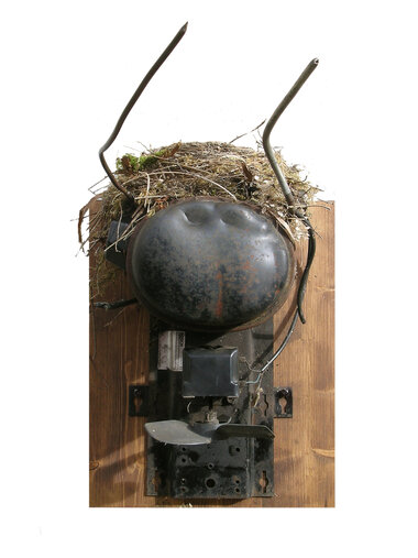 Susanne Neumann Boschhirsch