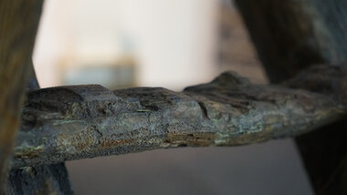 Susanne Neumann - Objekt Sägebock 24