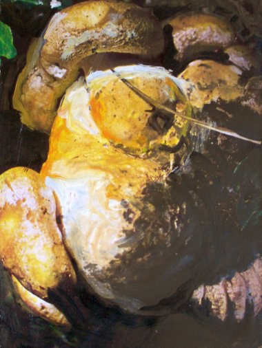 Susanne Neumann - Malerei Funghi k